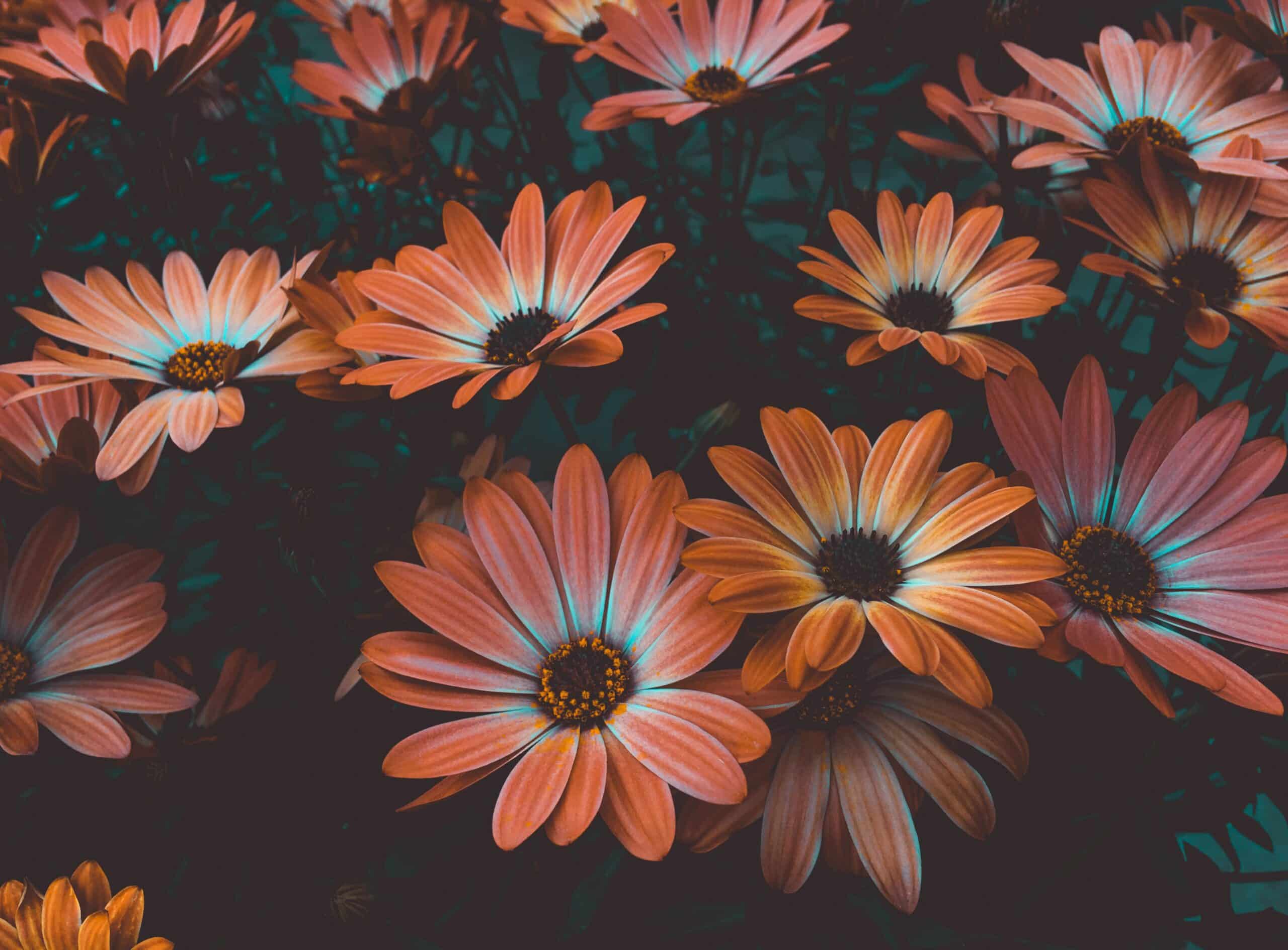 Tips til at vælge de perfekte kunstige blomster til din begivenhed